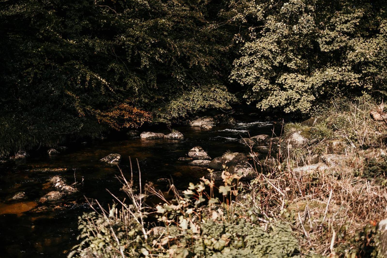 Fox Tor Apartment Plymouth Bagian luar foto