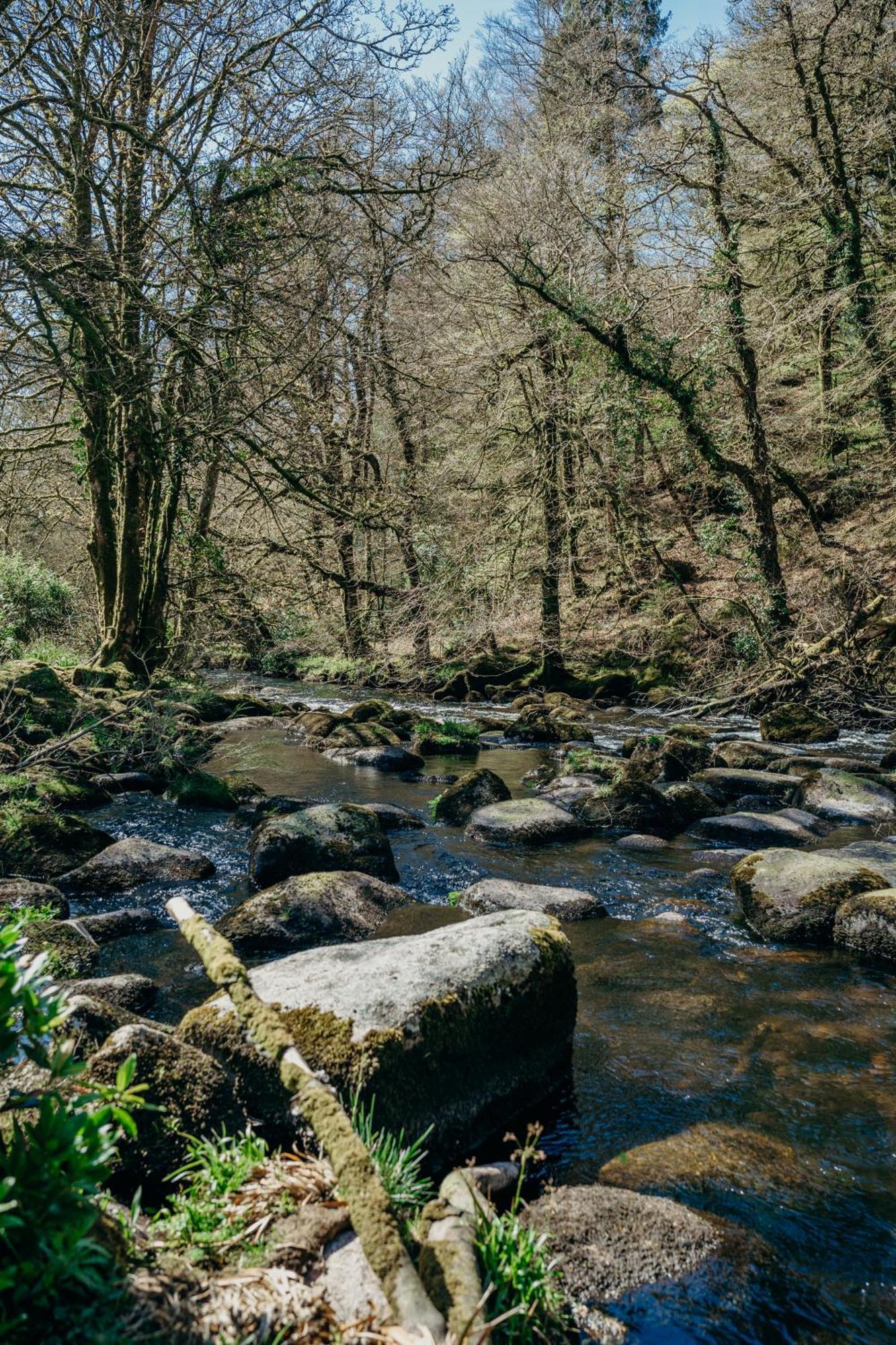 Fox Tor Apartment Plymouth Bagian luar foto